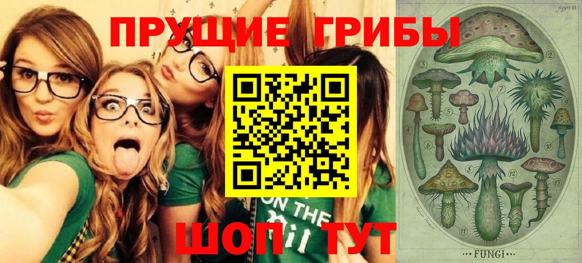 Псилоцибиновые грибы Psilocybine cubensis  Вход с VPN  Саратов  Галлюциногенные грибы мицелий 